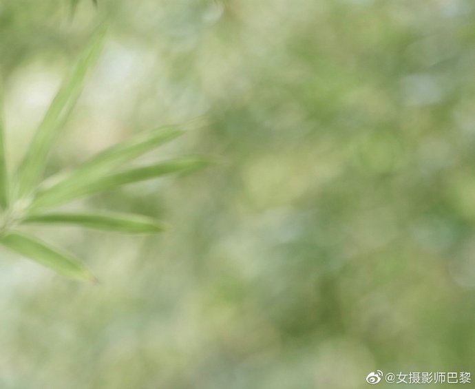 东京爱情故事 封面